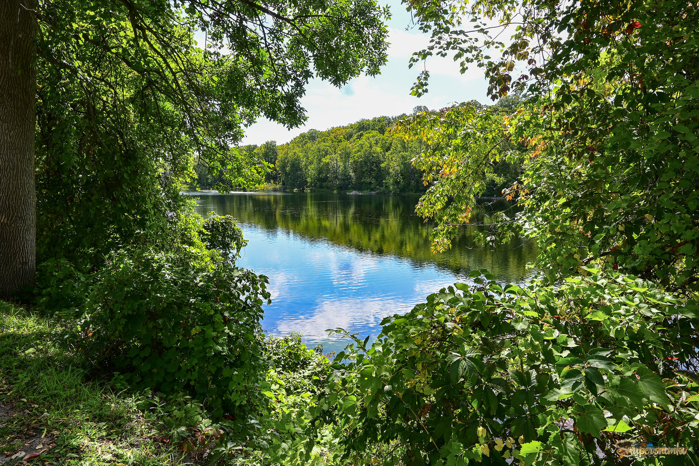 Нега тёплого дня