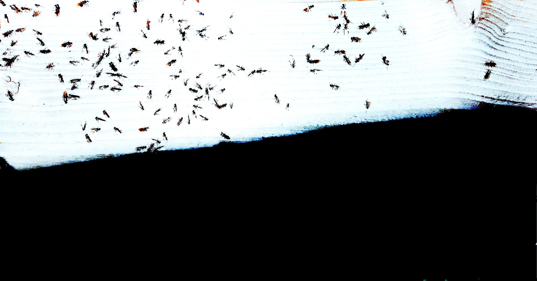 перлетая через Альпы