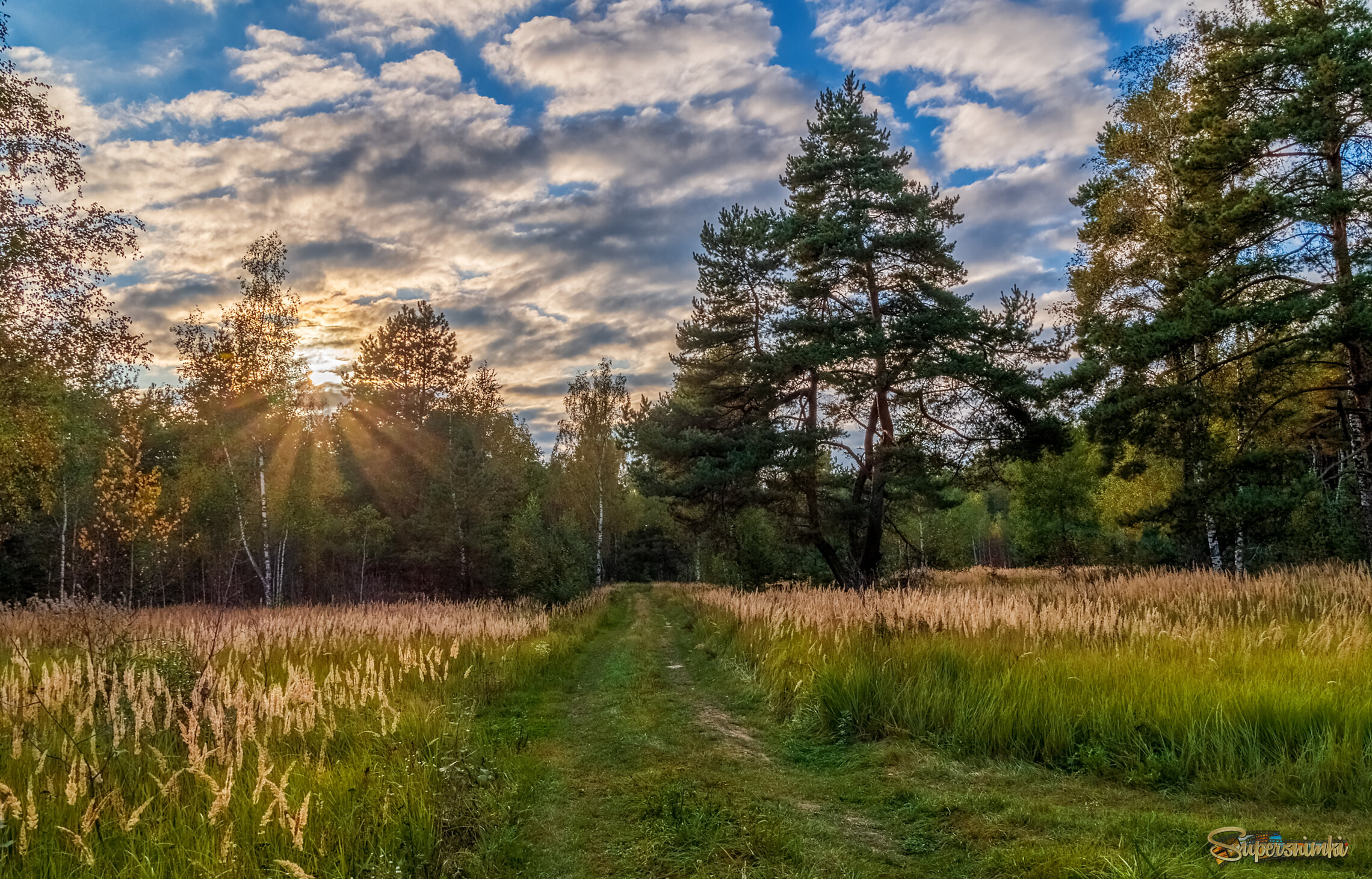 Осень она не спросит 15 