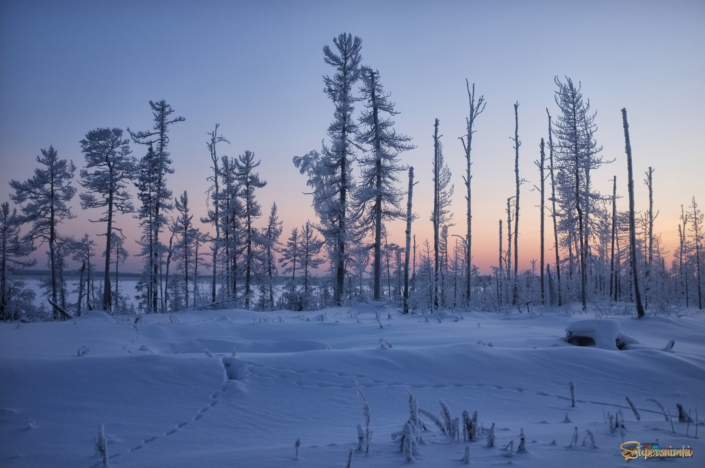 Большое Васюганское болото***
