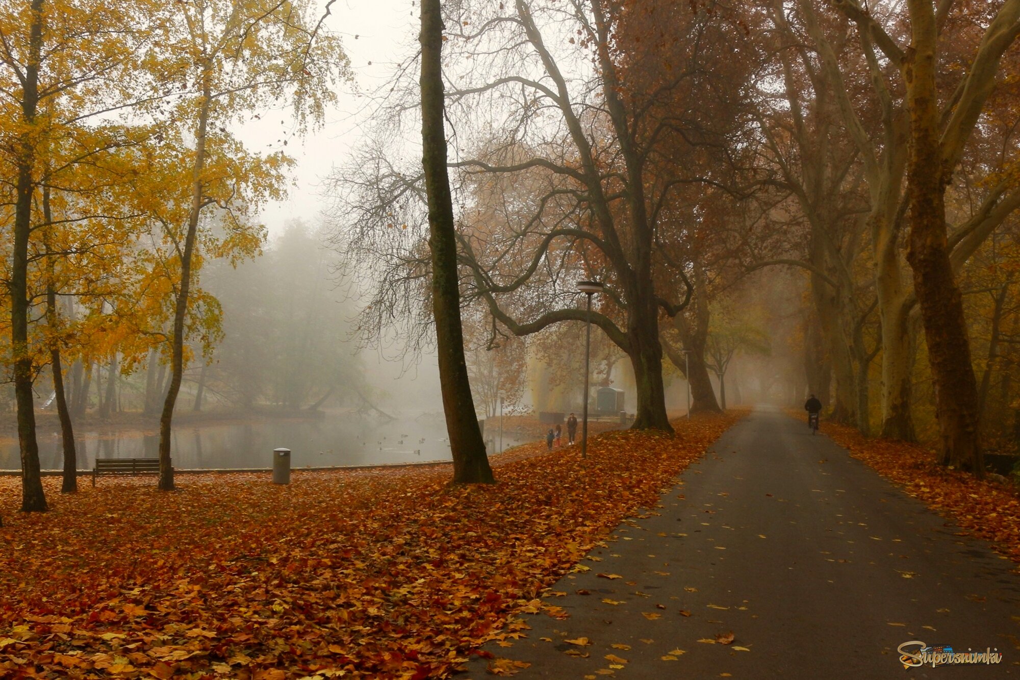 В туманном парке осень  бродит