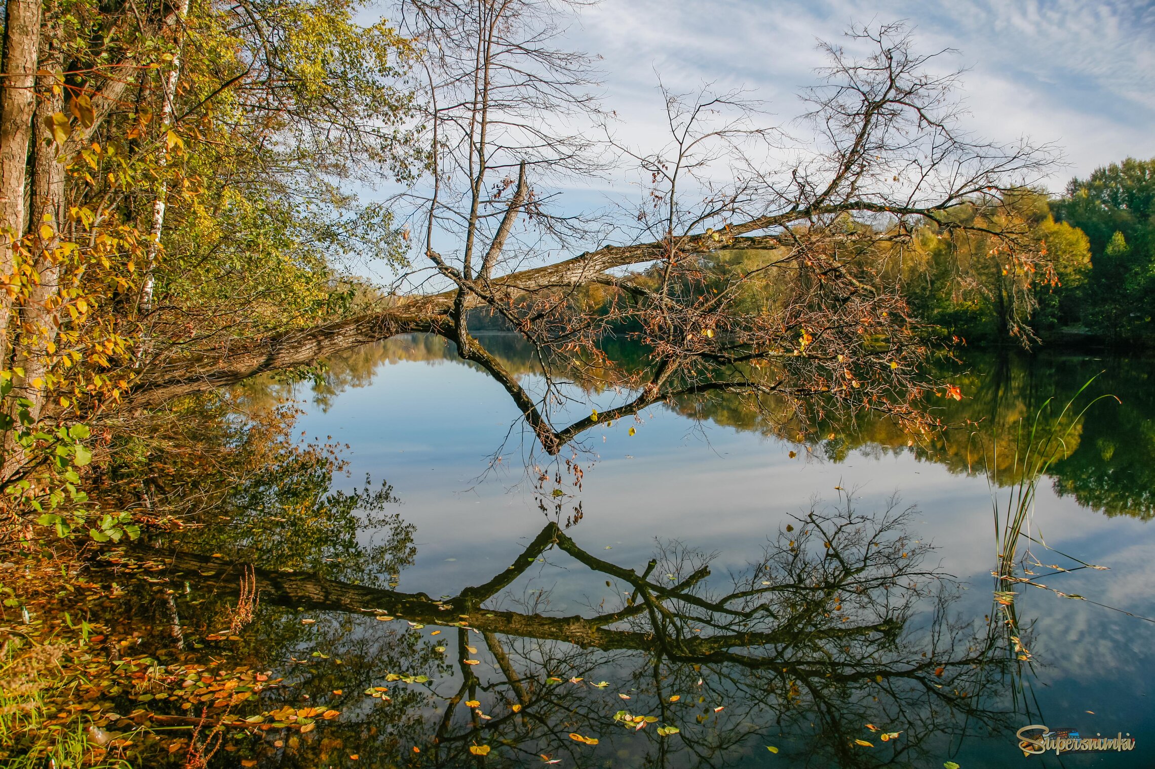 Осенний зиг-заг
