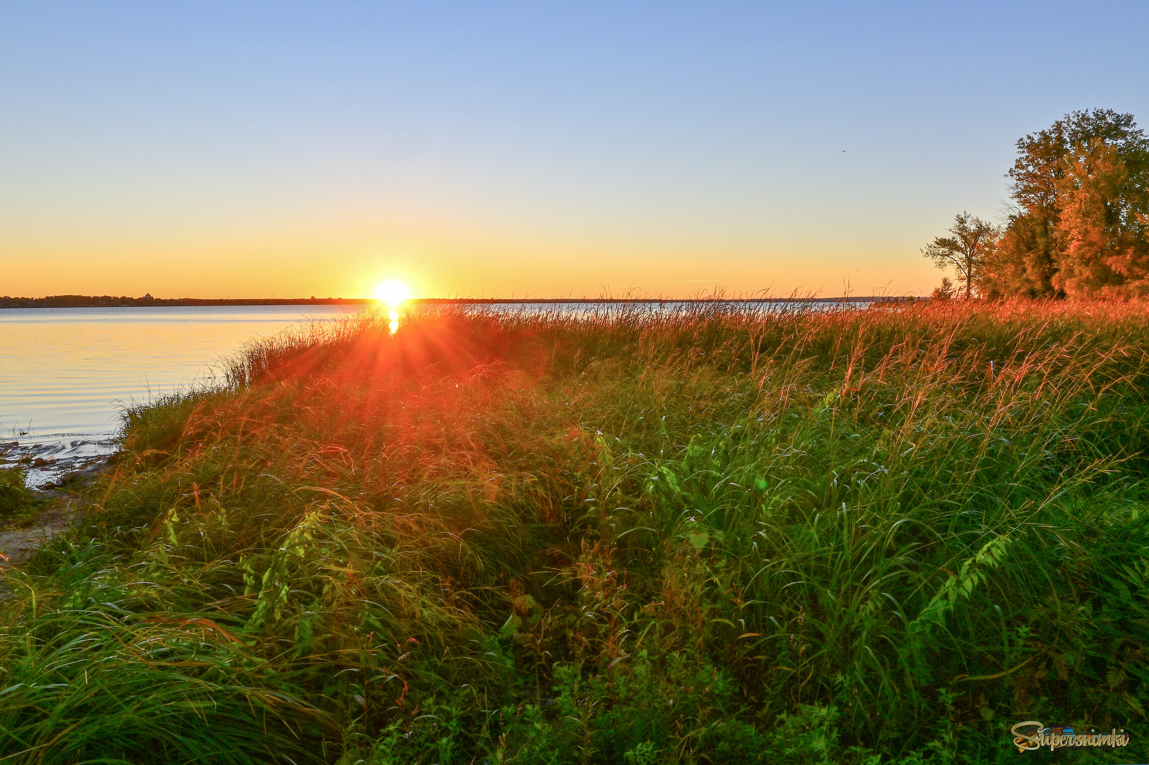 Жароптицево