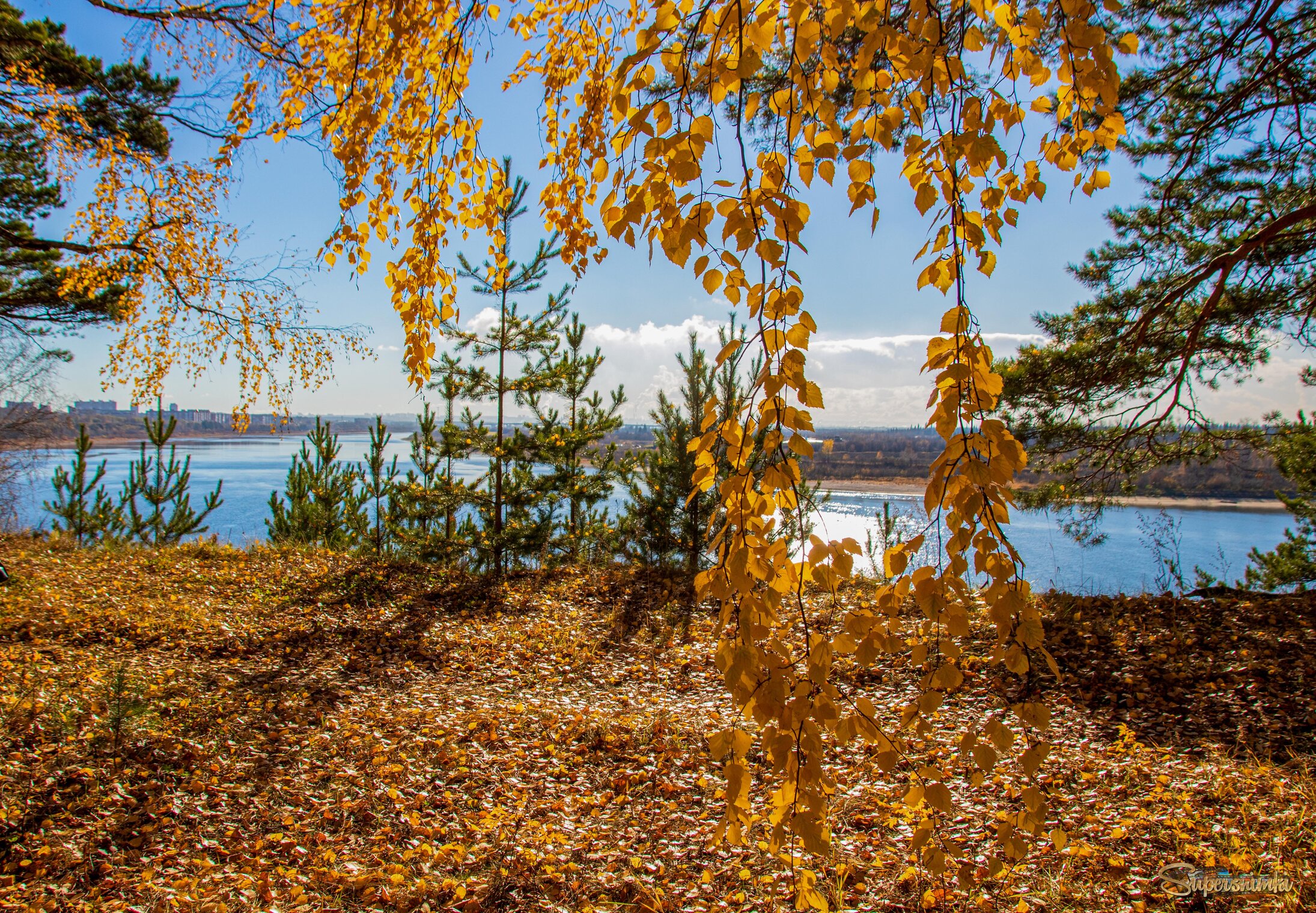 Синеокая Томь в осеннем наряде