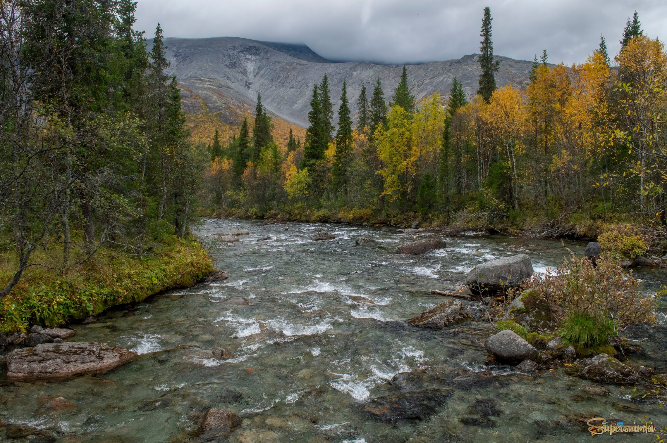На излучине............