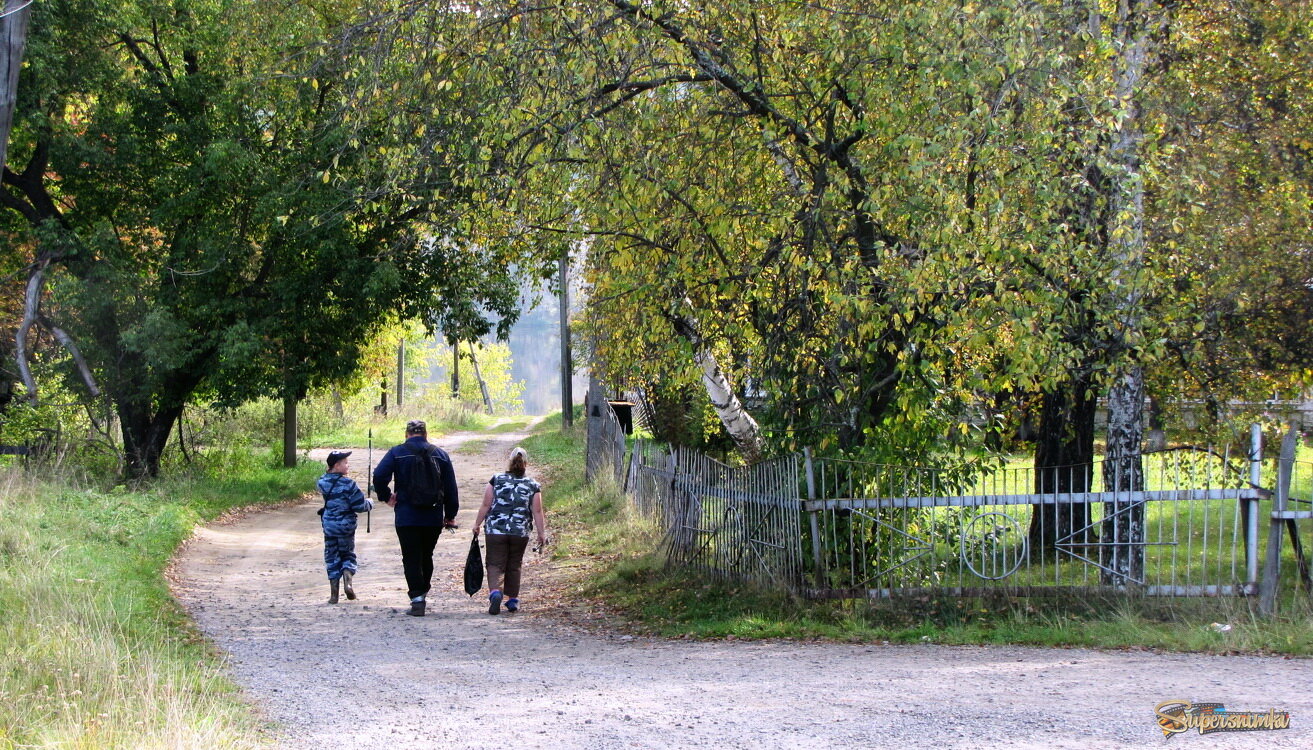  ПОРТАЛ В ДЕТСТВО                                                               
