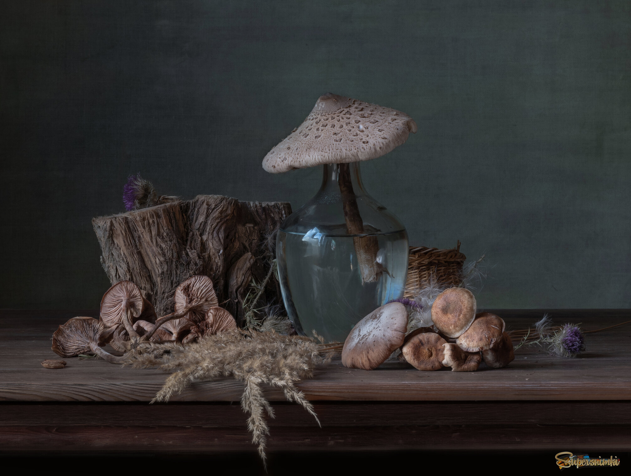 Натюрморт с грибами