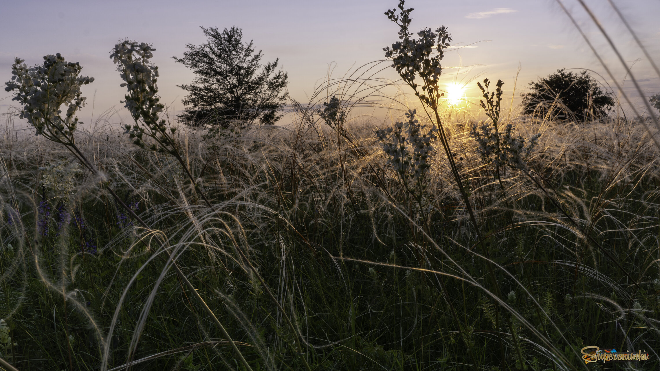 68d03c1c1ee9ee549a34dfd8