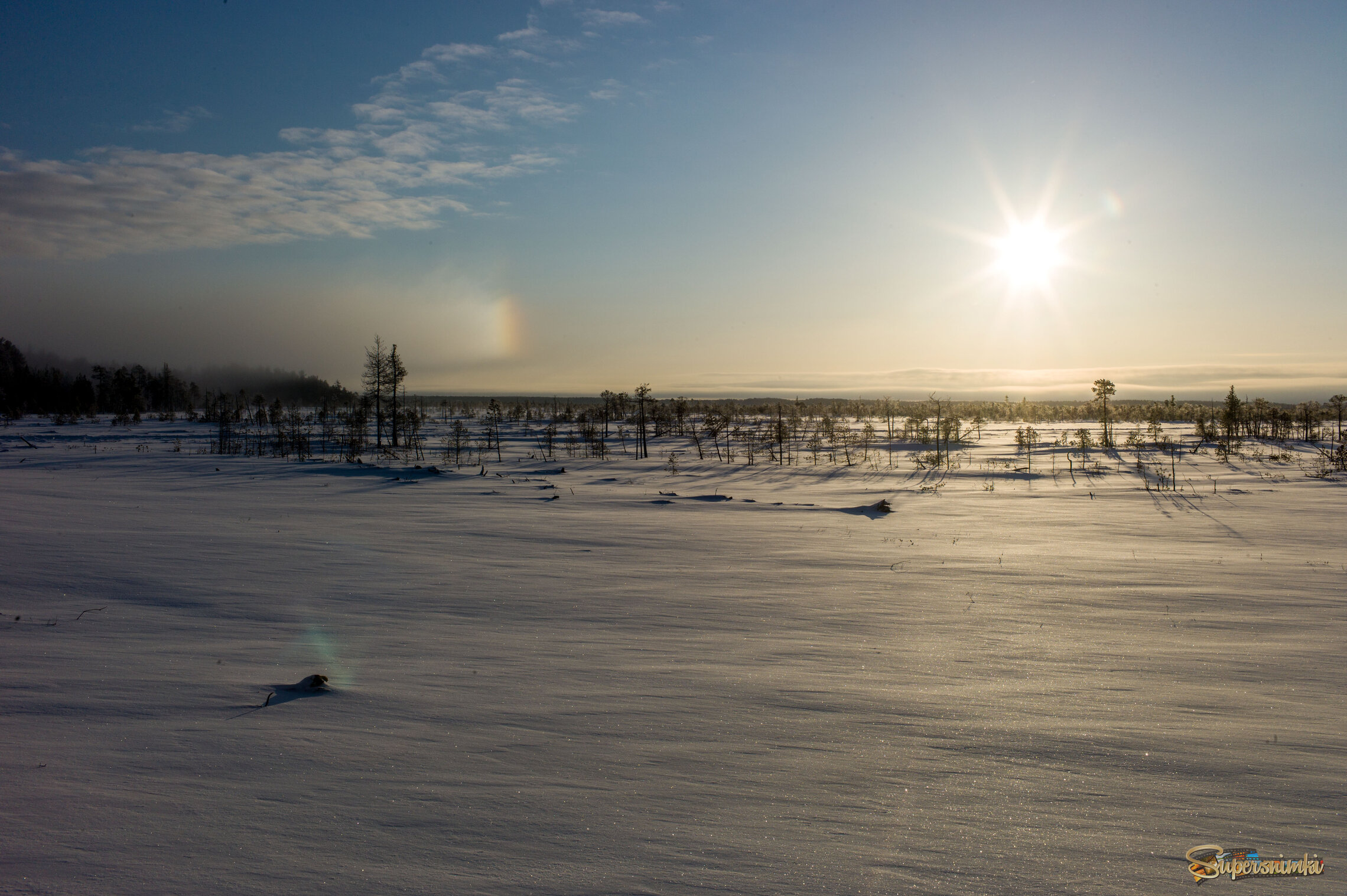 Большое Васюганское болото***