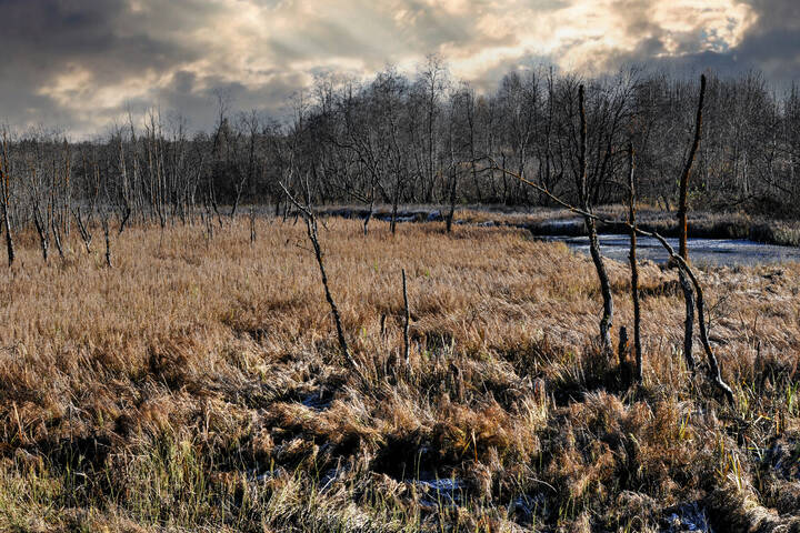 landscape