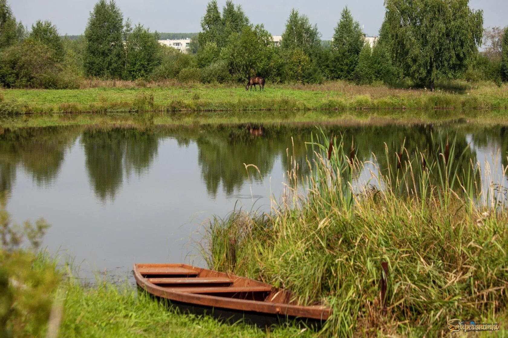 Деревенская иддилия