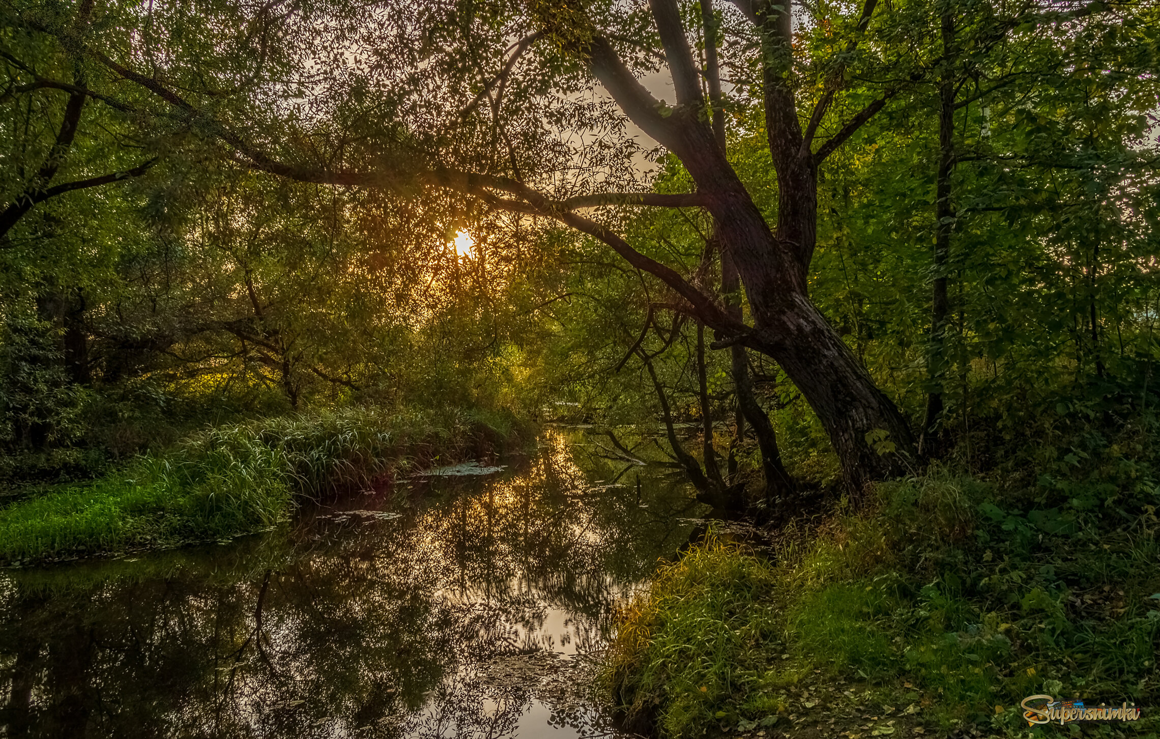 Цвет осени 2