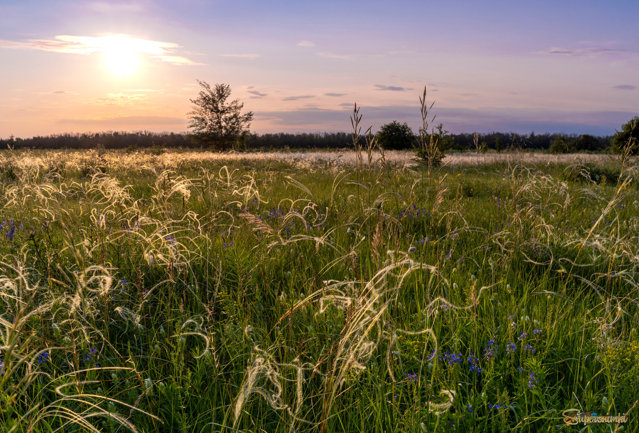 68d03b9aec940667c634dfd9