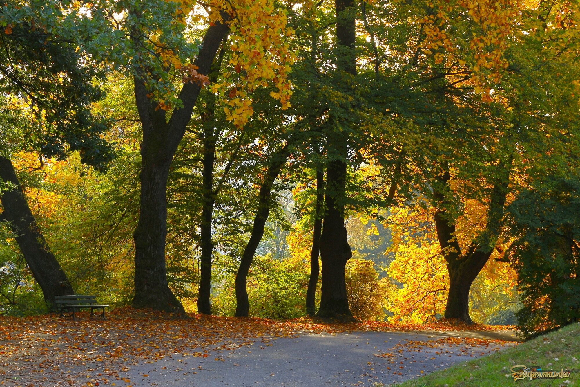 В осеннем парке тишина