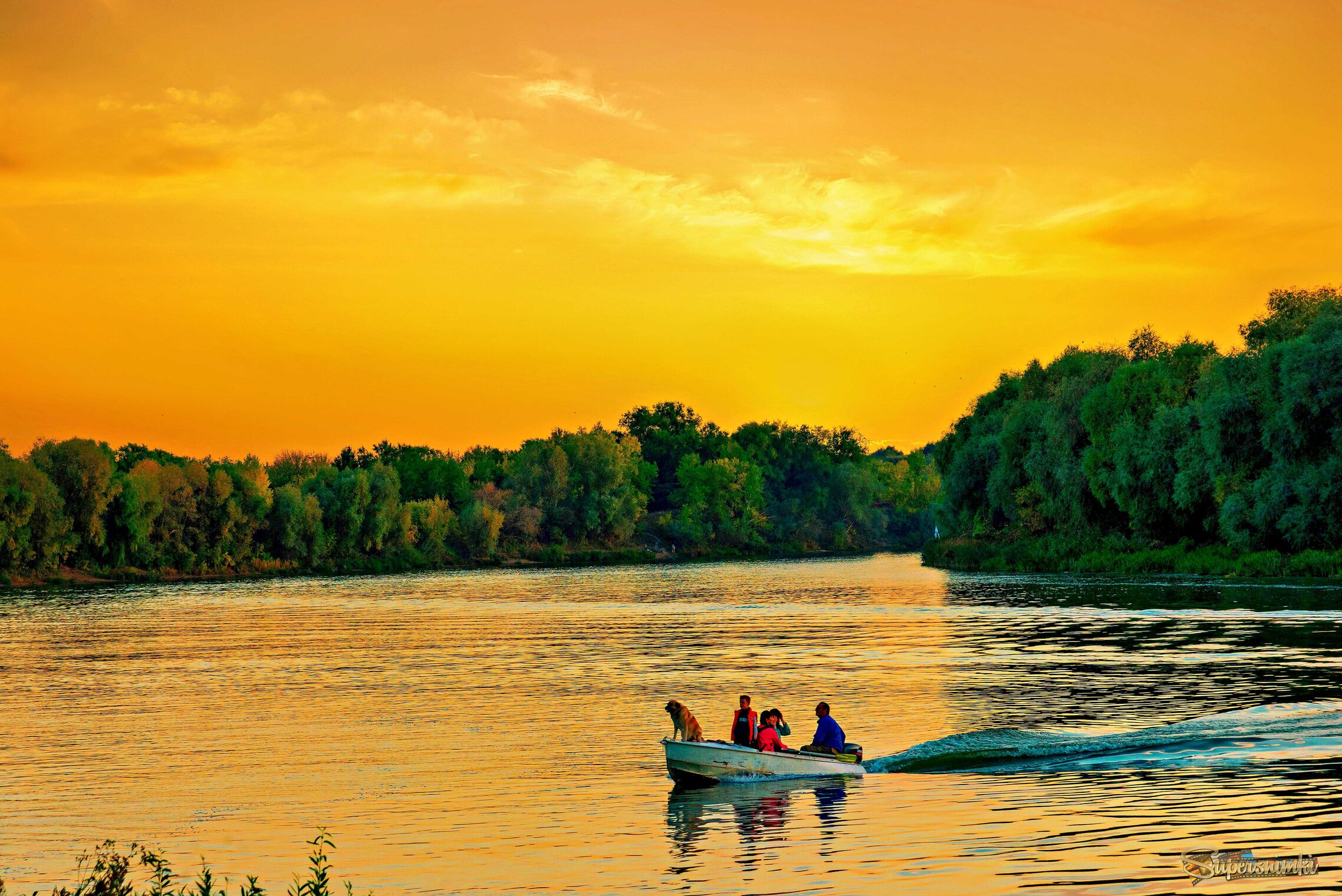 Трое в лодке и собака.