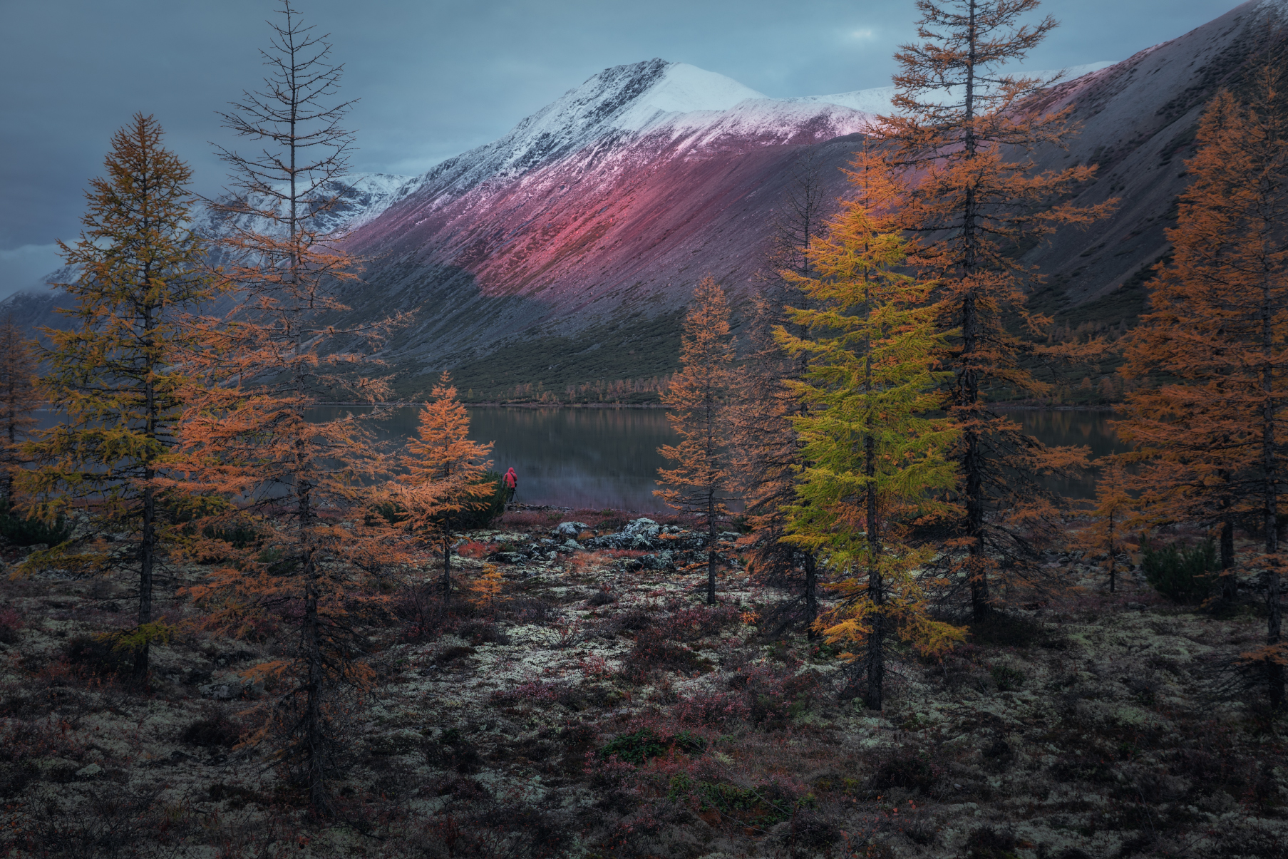 Ранним утром на озере