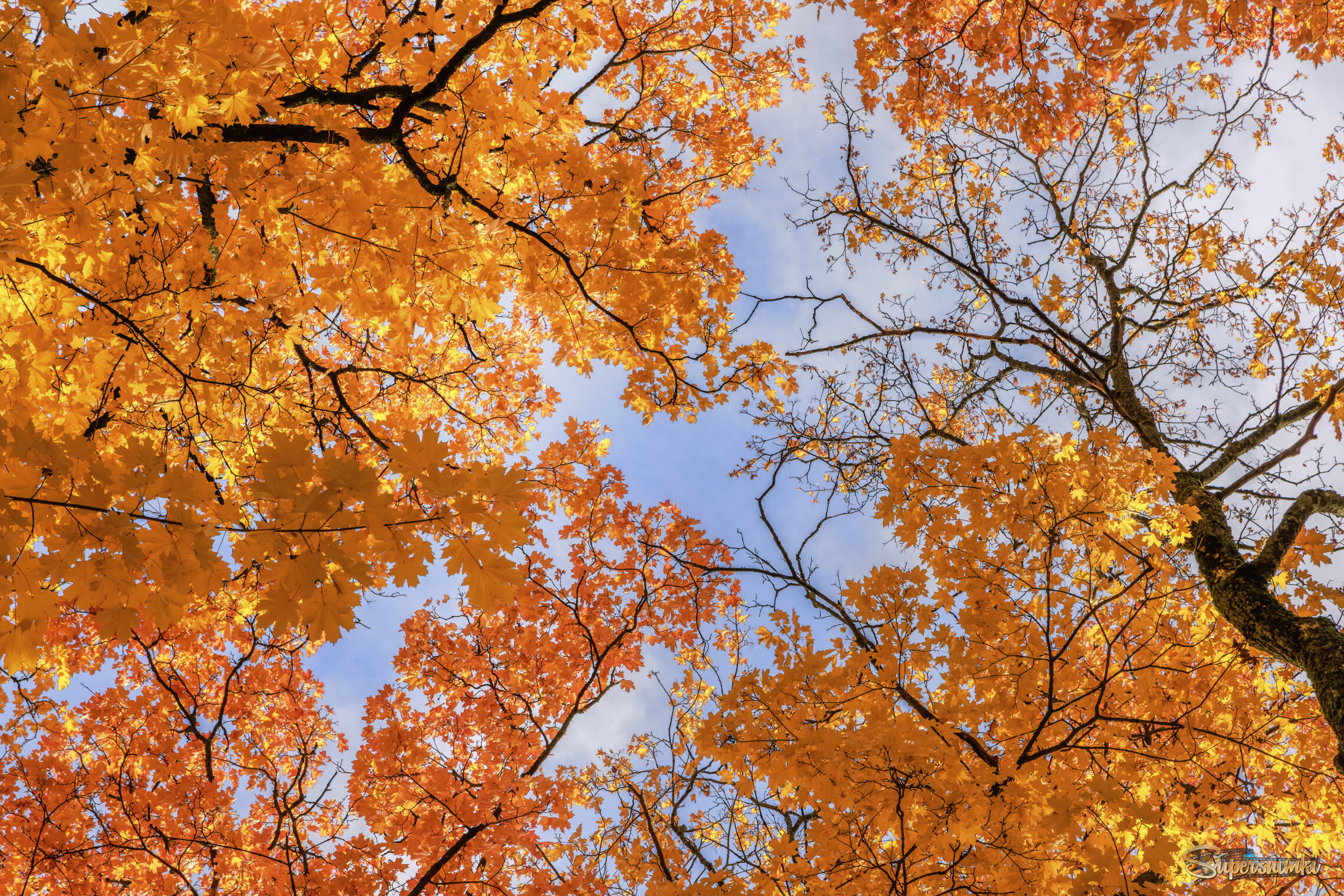 Осень. Фрагменты