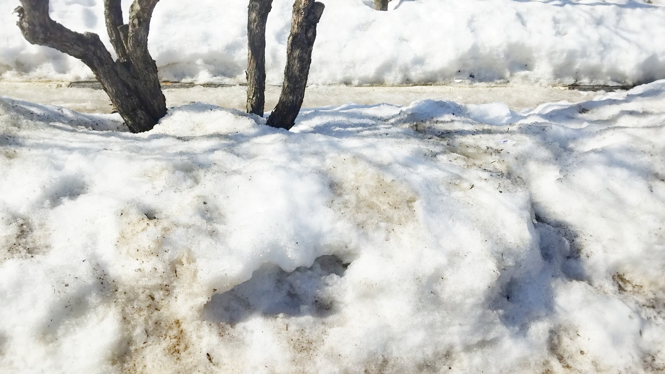 скоро Весна