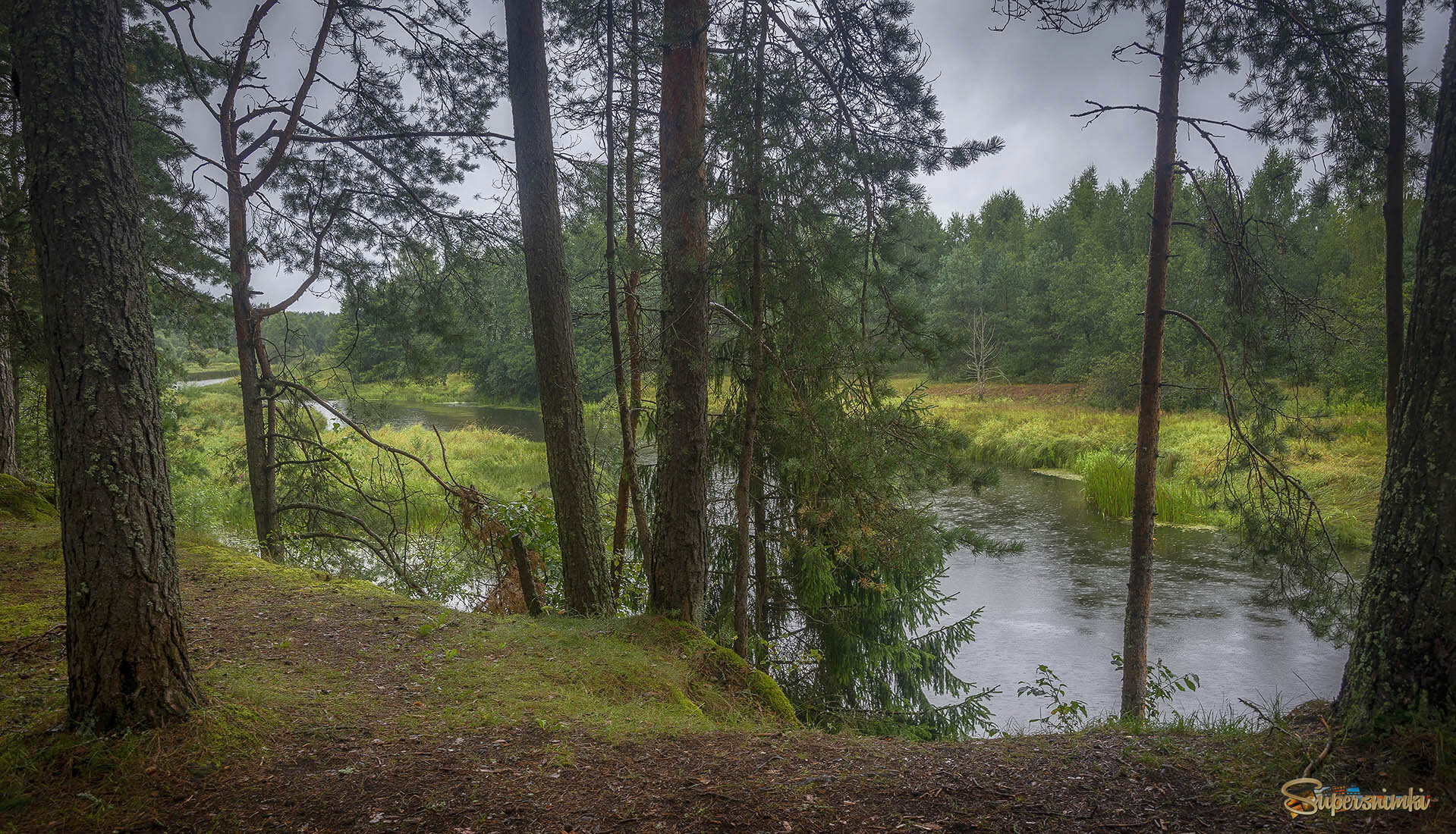 Речка Волчина