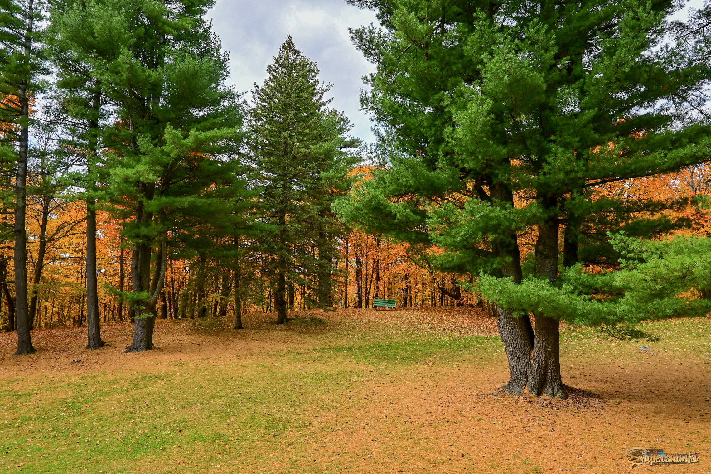 Охряные мотивы