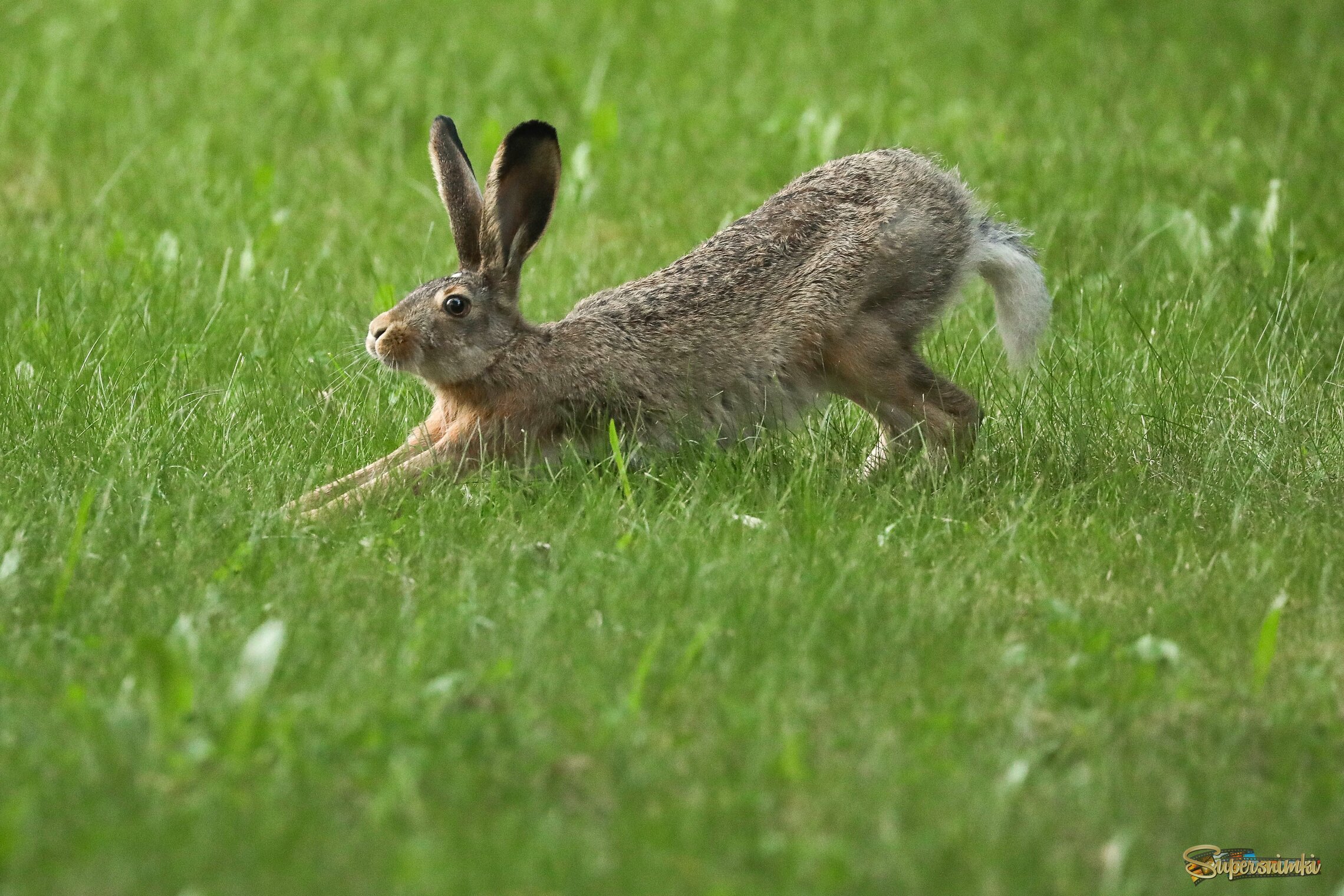 Упражнения на свежем воздухе