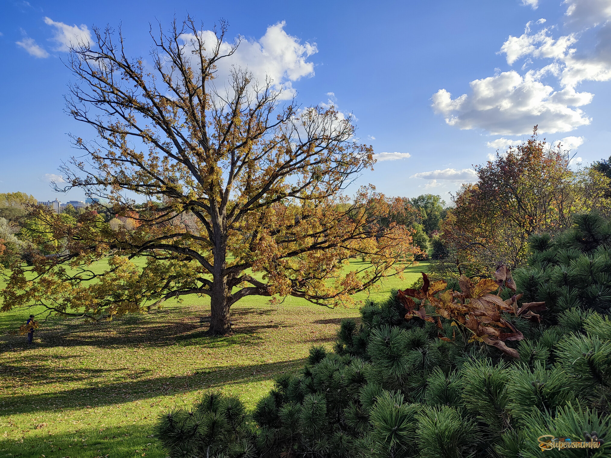 Затерянный в большом городе