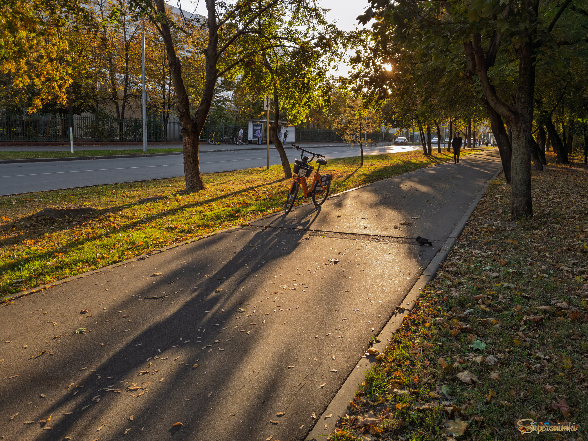 День осеннего равноденствия-22.09.2025/