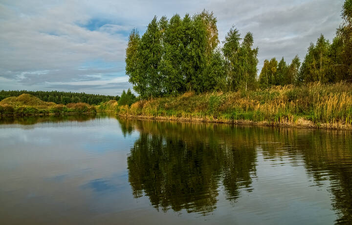 Цвет осени 5 