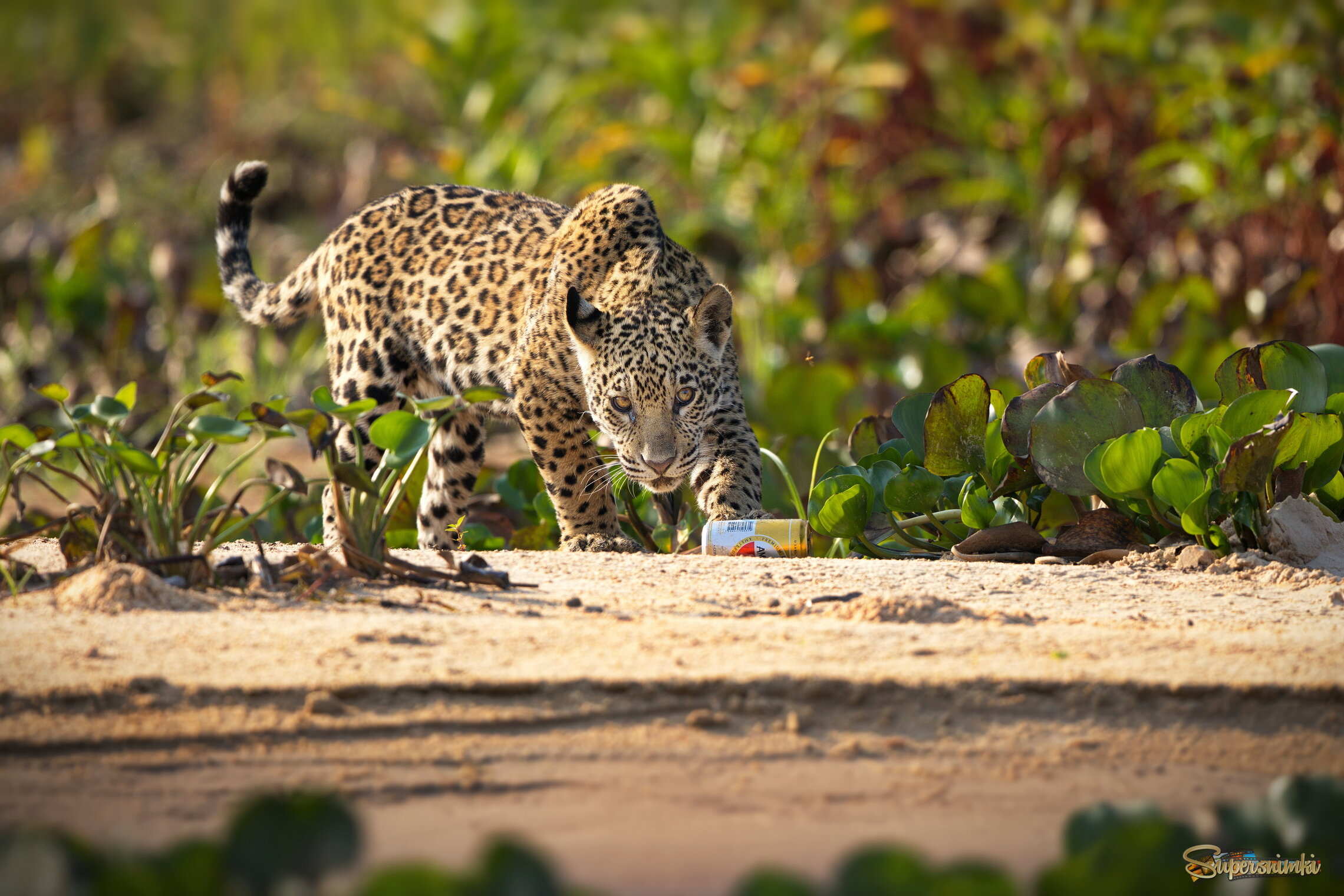 Отвратительные ощущения