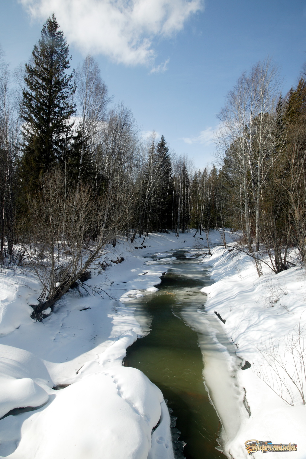 Большое Васюганское болото***