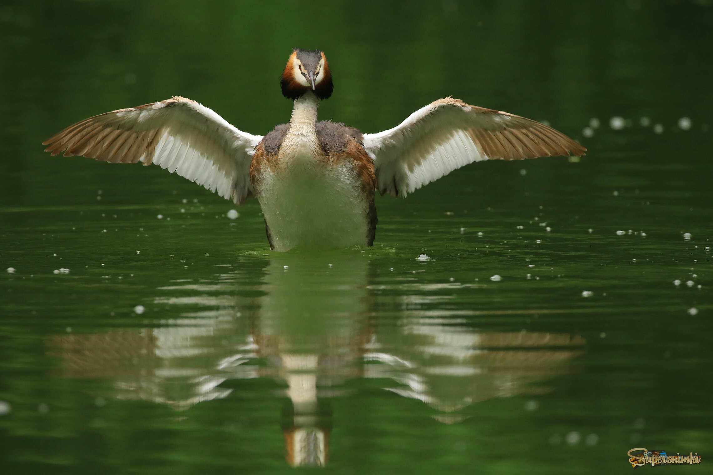 Красота - страшная сила!