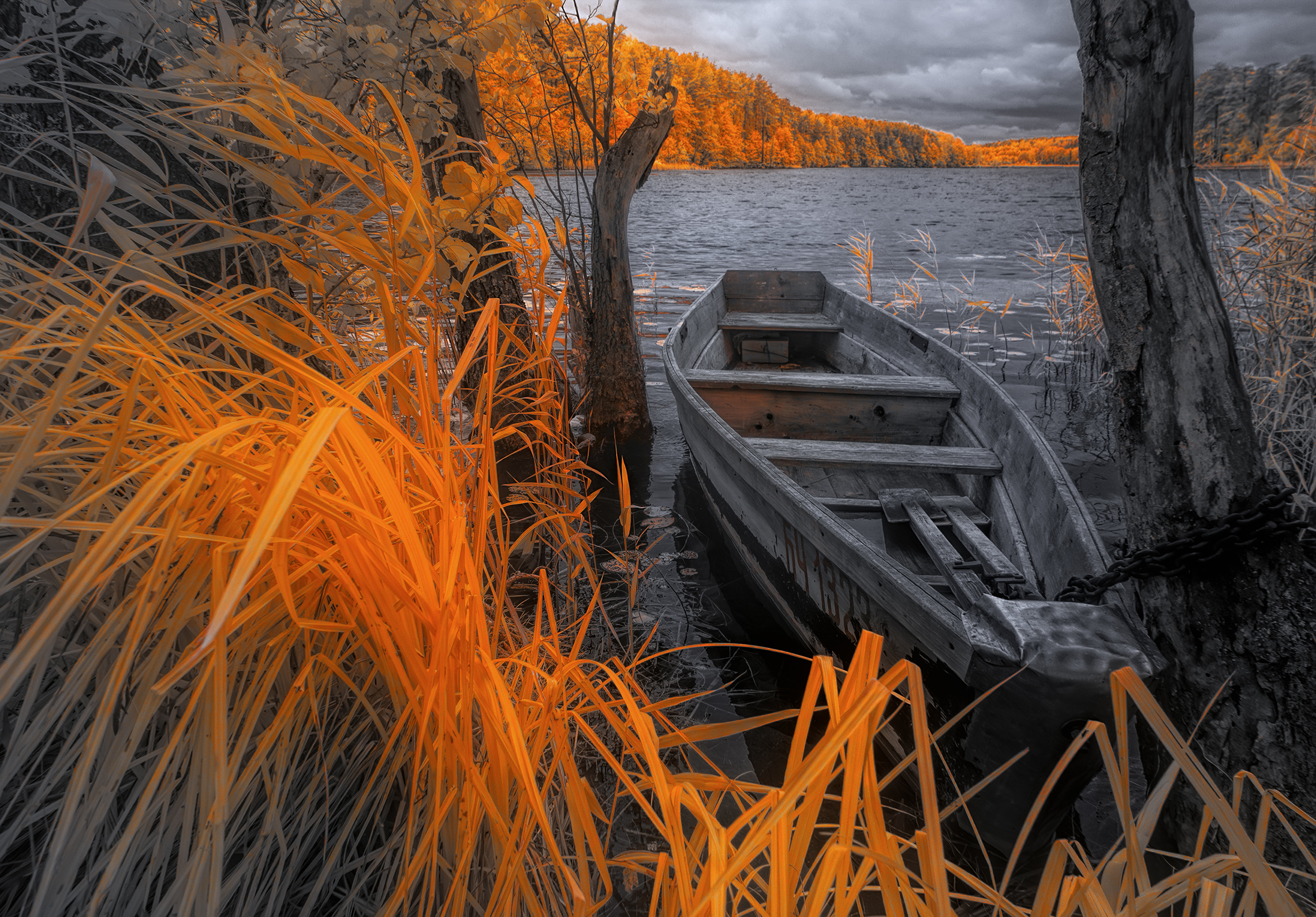 Осенне-лодочная