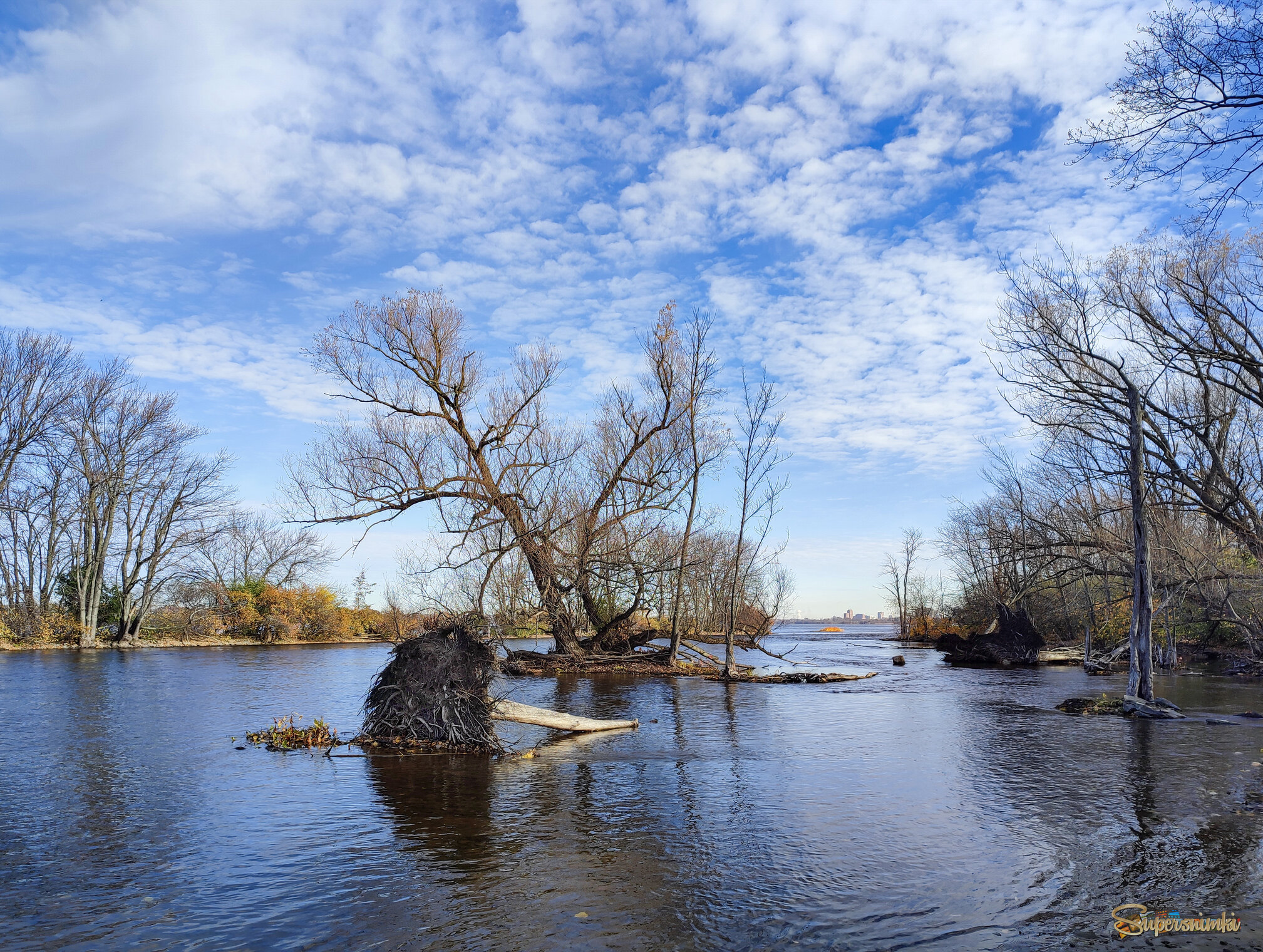 Падает не только листва