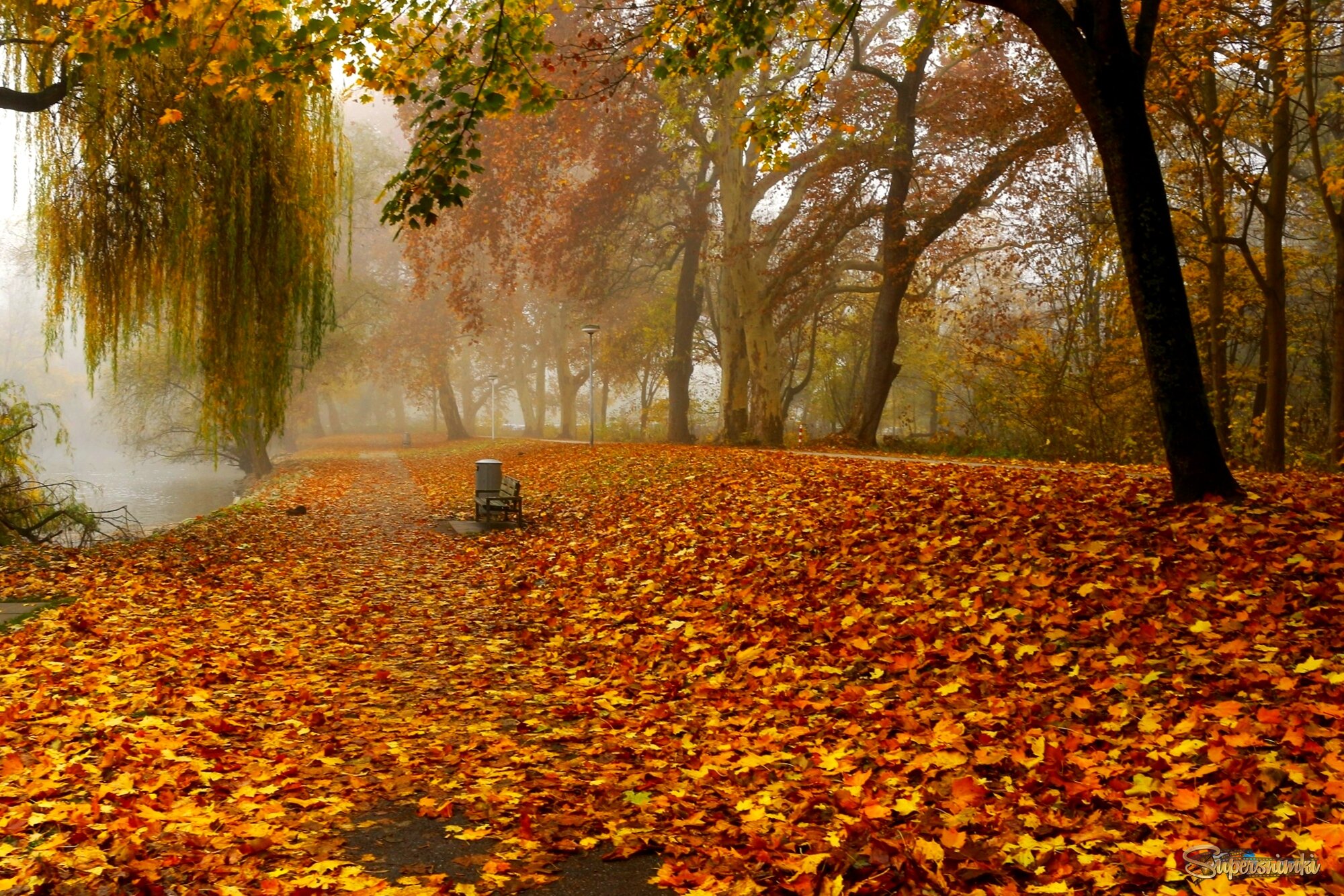 Засыпан дивный парк листвой, пропитан солнцем день до дна, в осенней неге золотой под вязом дремлет тишина…