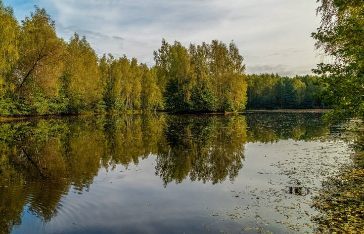 Цвет осени 6 