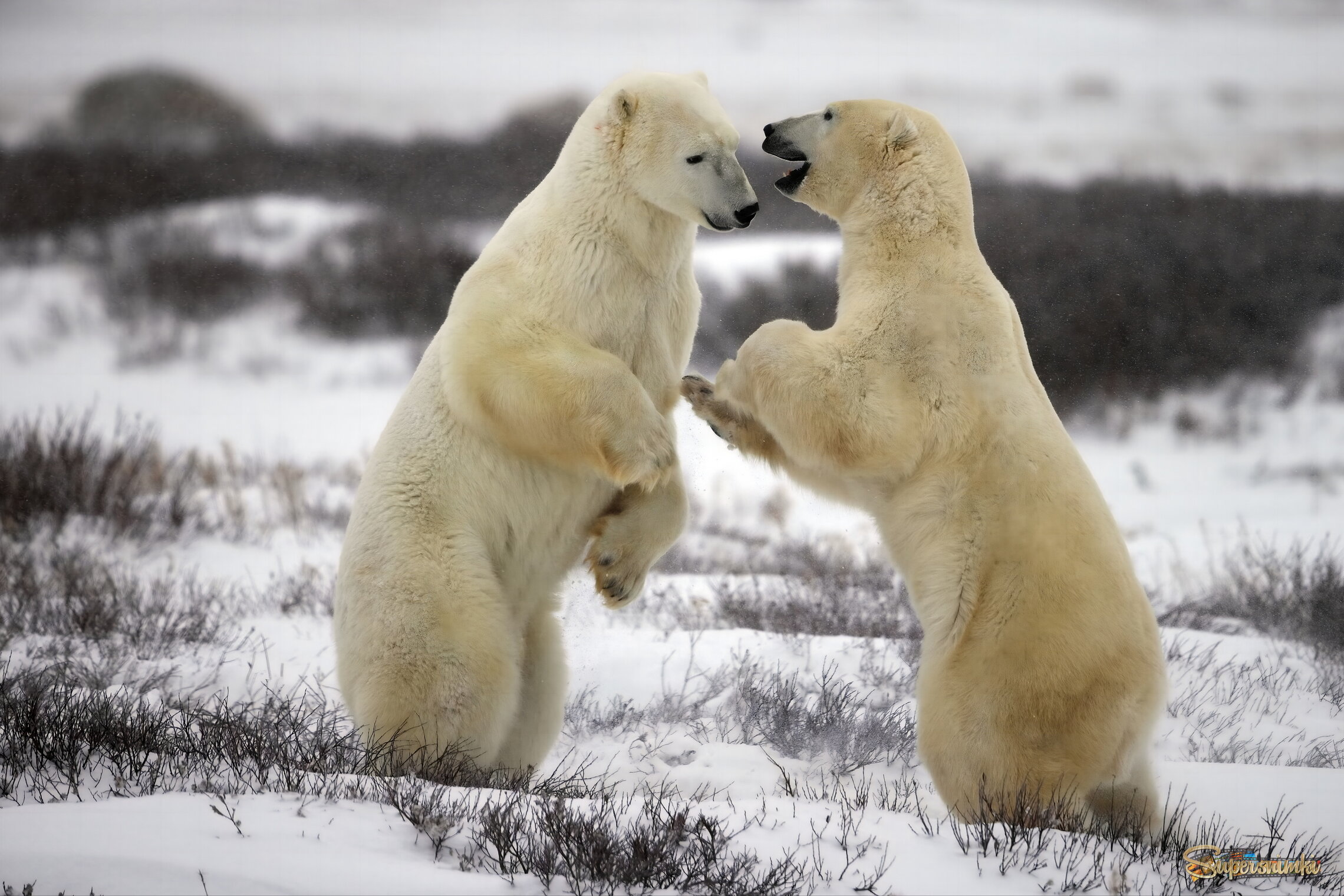 Я тебе сейчас что-то важное скажу!