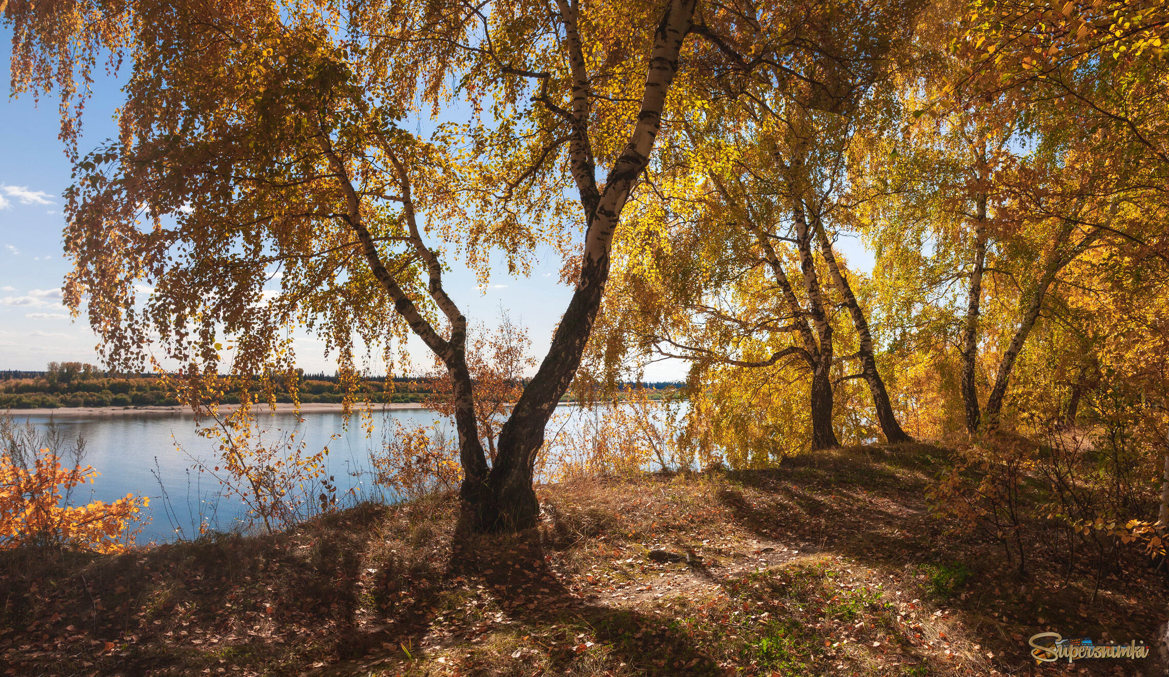 Золотая осень на Томи.