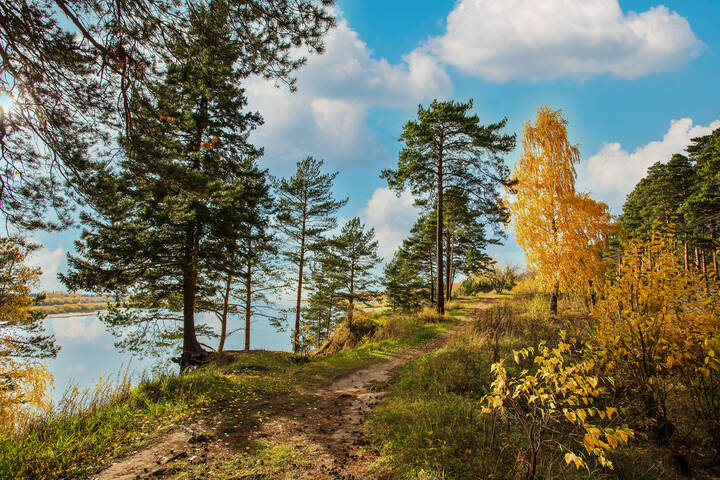 Текущая версия