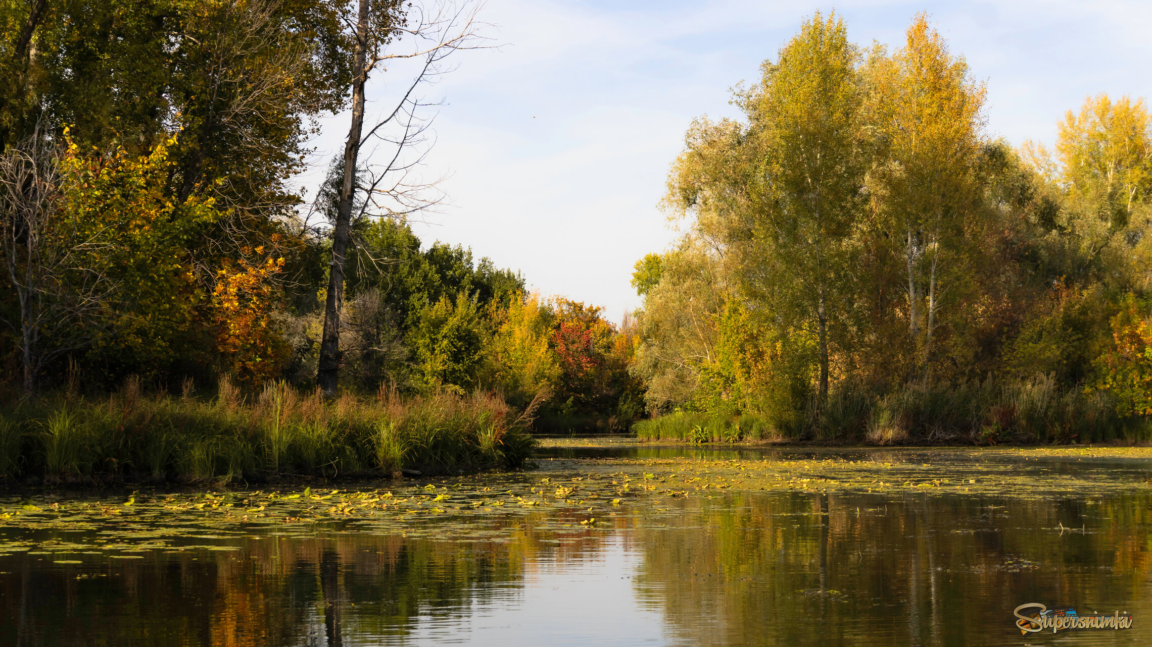 Осенние контрасты.