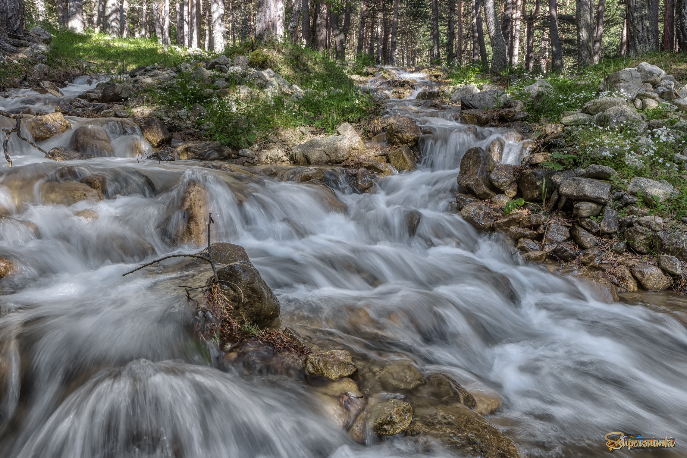 Журчат ручьи