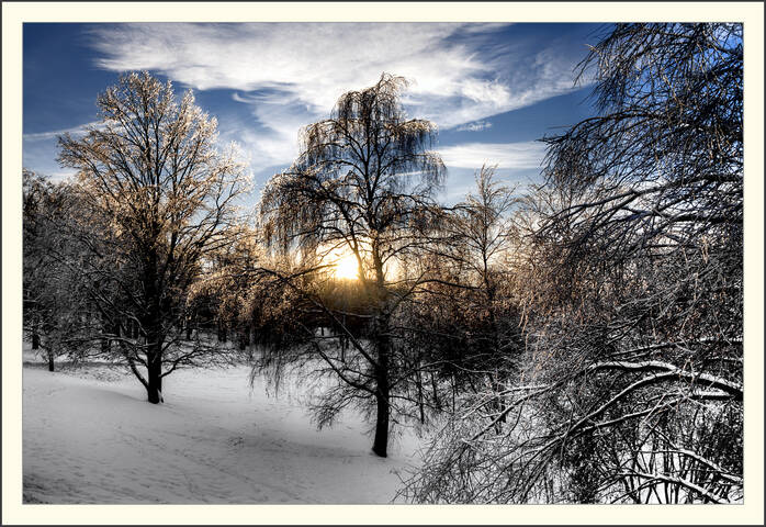 Landscape