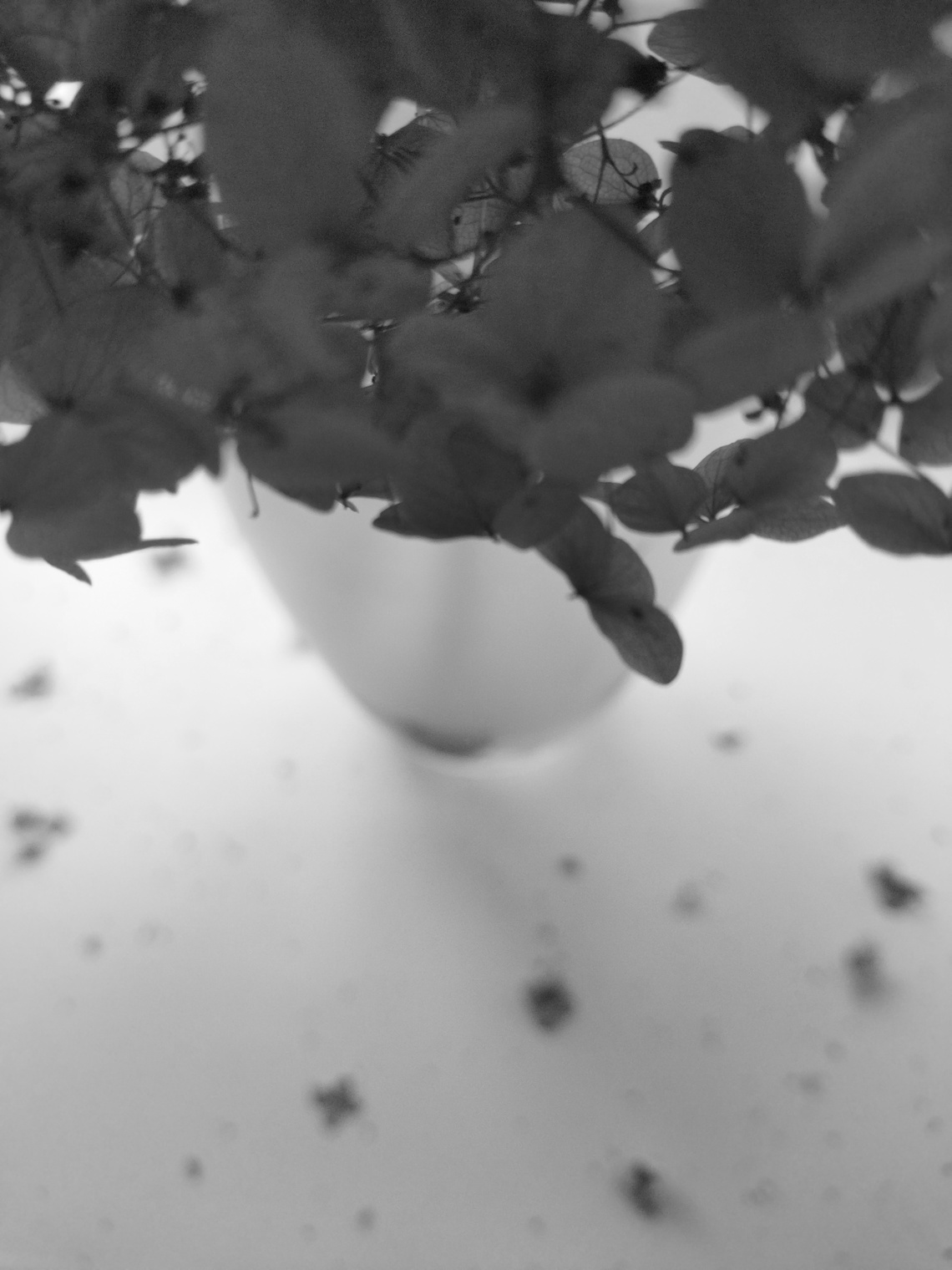 маленькие среды