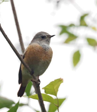 # 1