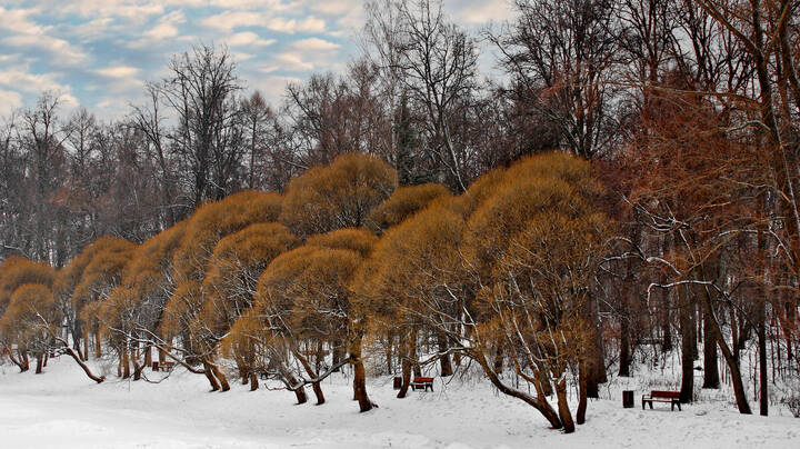 Landscape