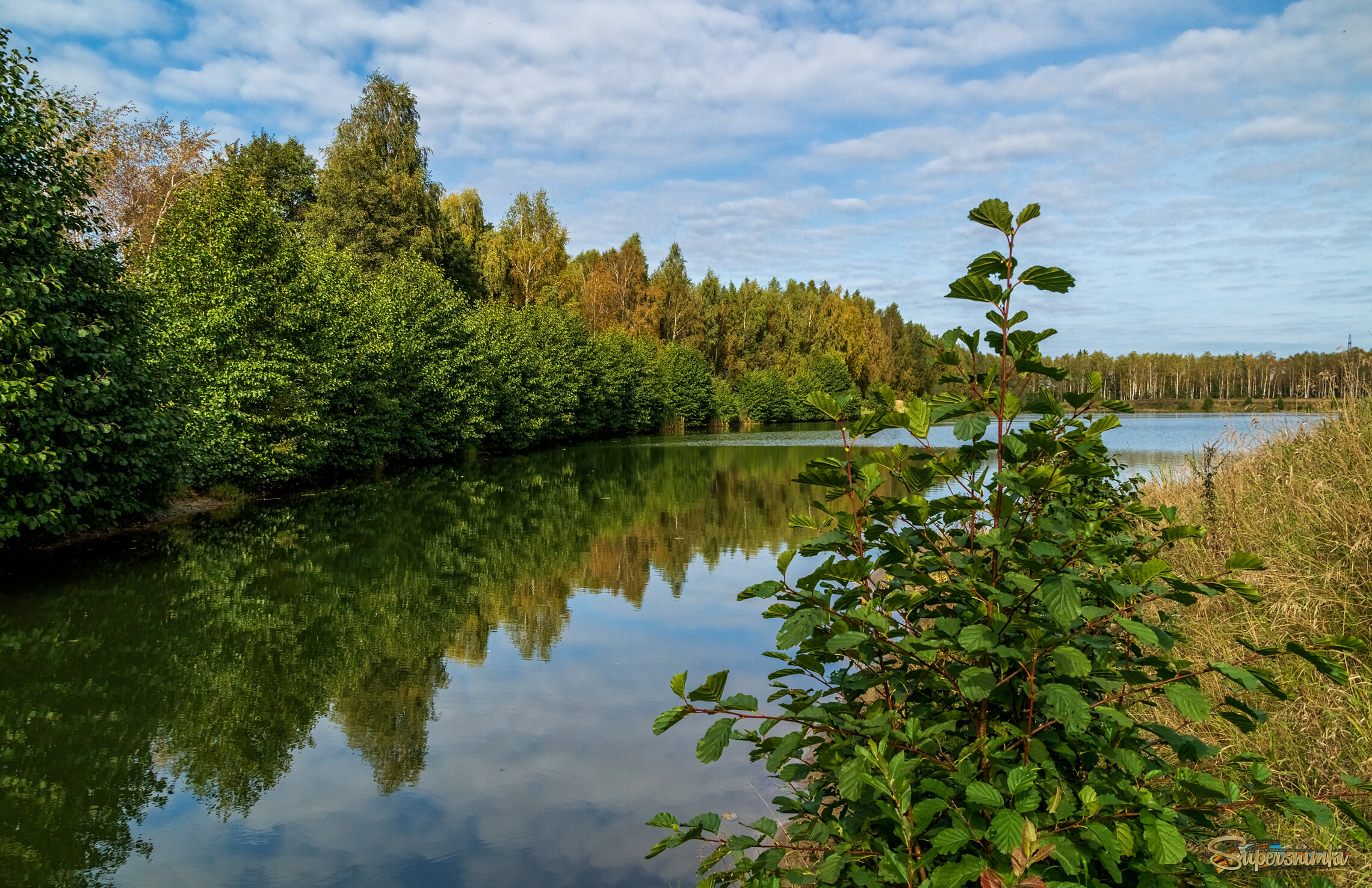 Цвет осени 8 