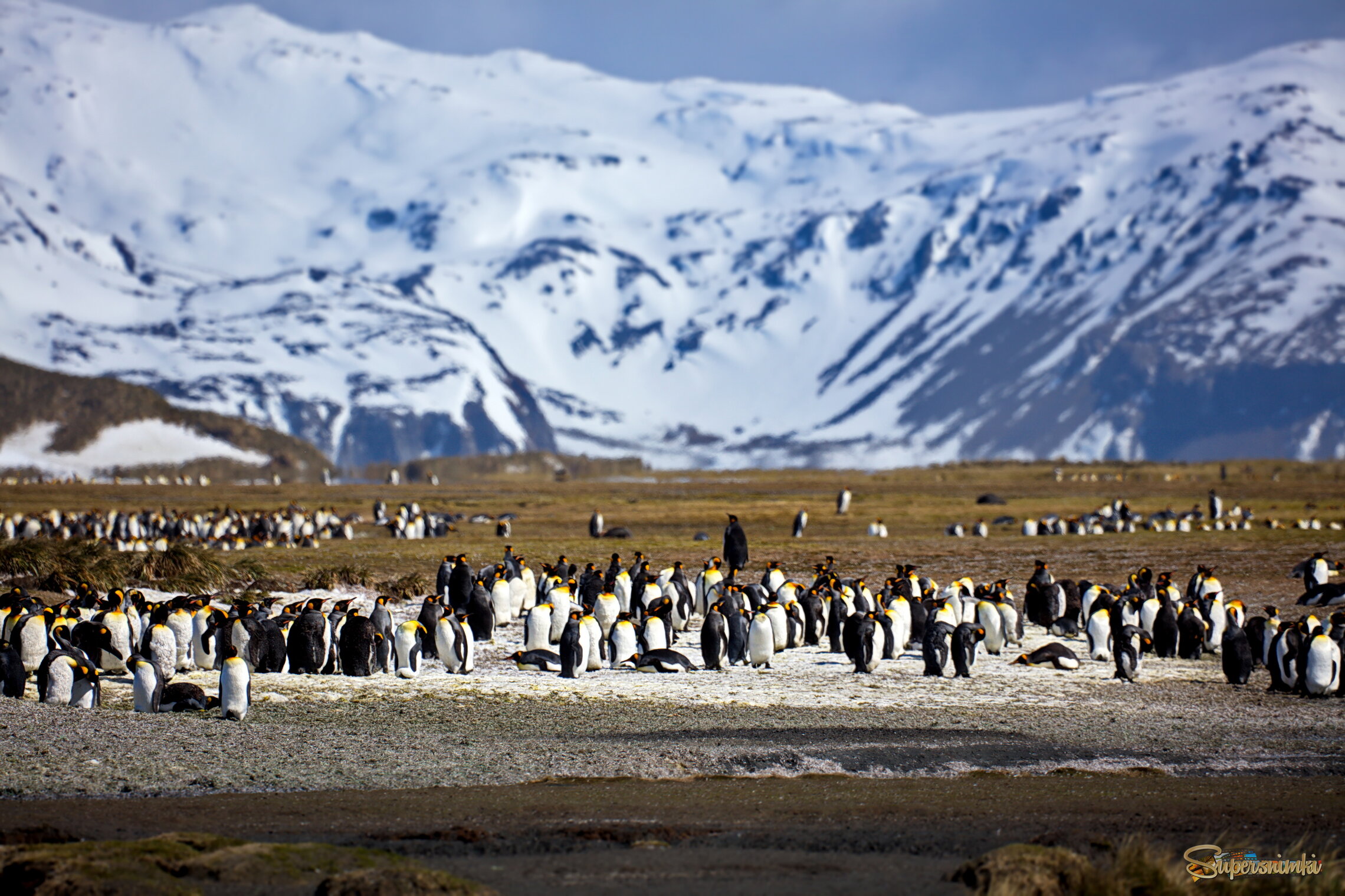 Райский уголок планеты