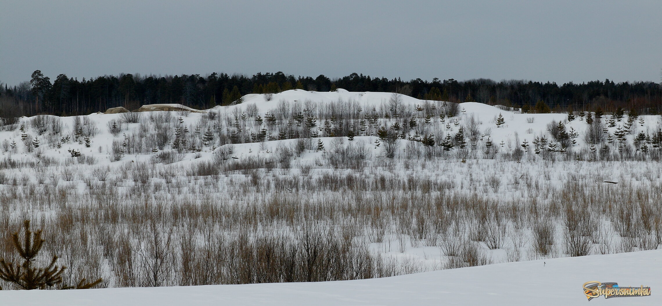 Большое Васюганское болото***