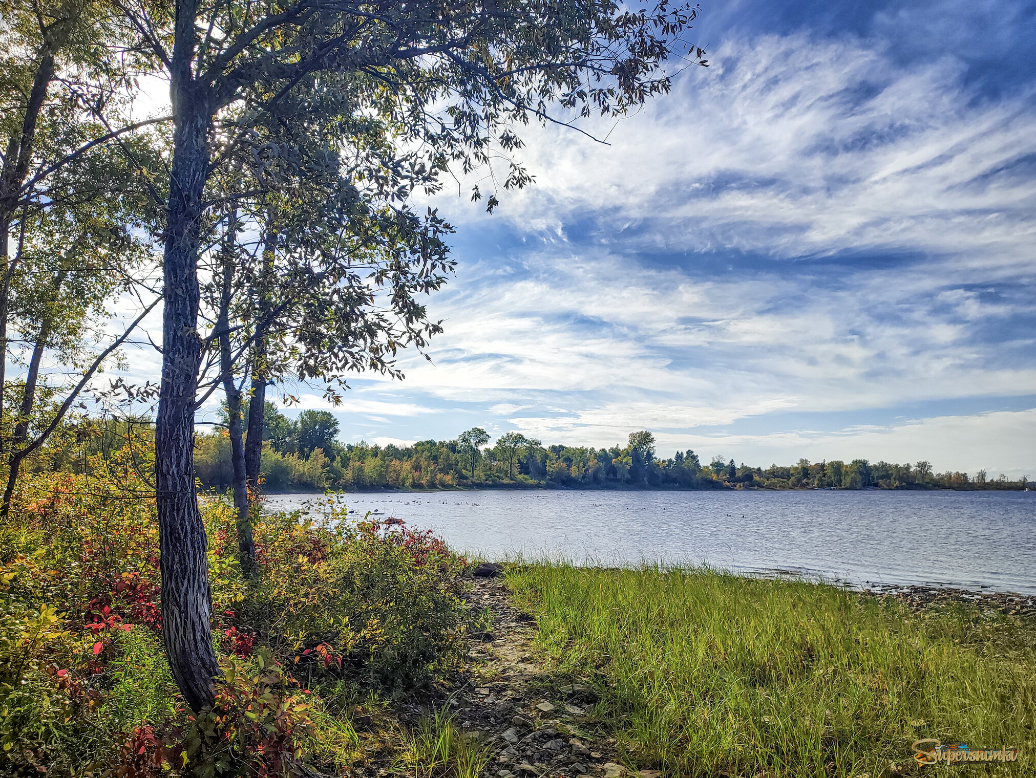 Краешек леса