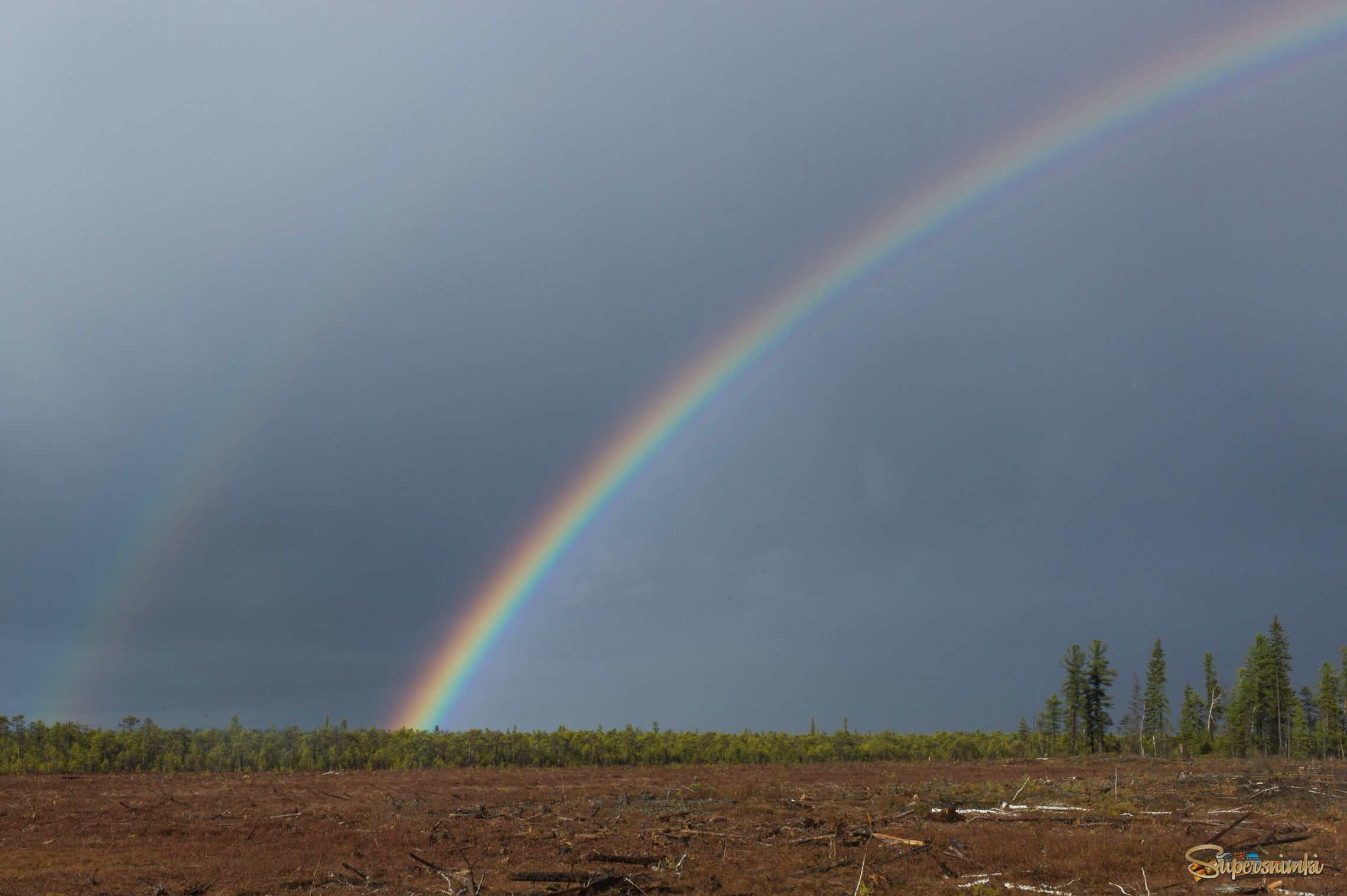 Большое Васюганское болото***