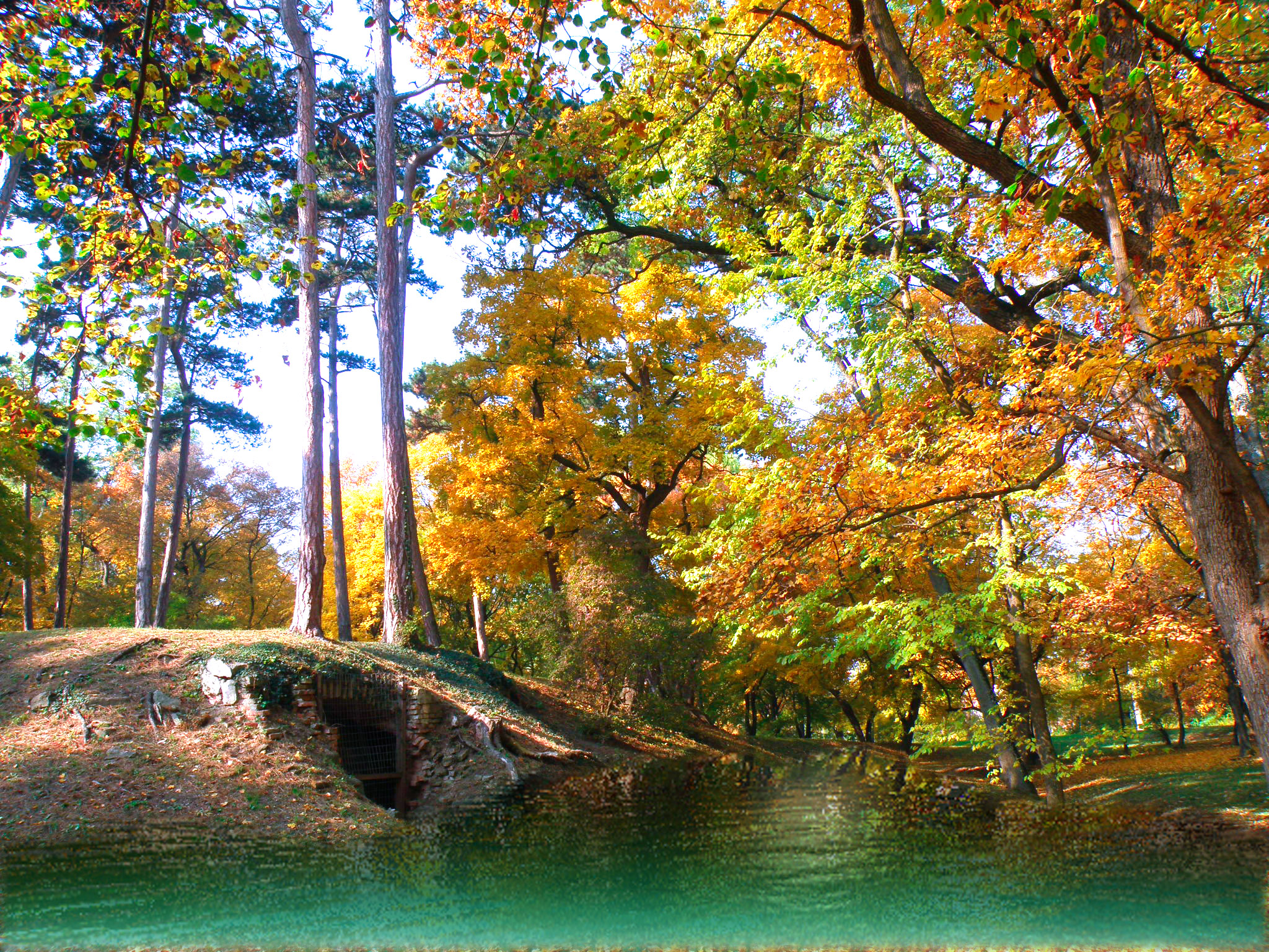 68d4fba310be7843bd34dfd8